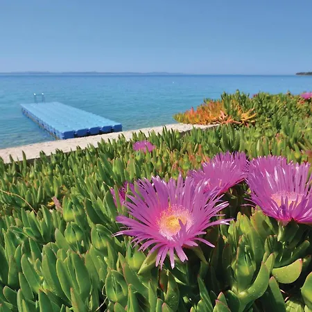 Lägenhet Kozino I Zadar
